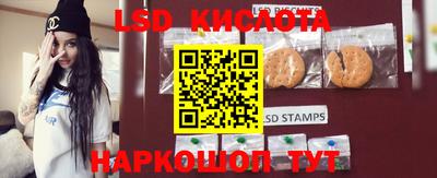 гидропоника Ставрополь
