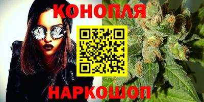 гидропоника Ставрополь