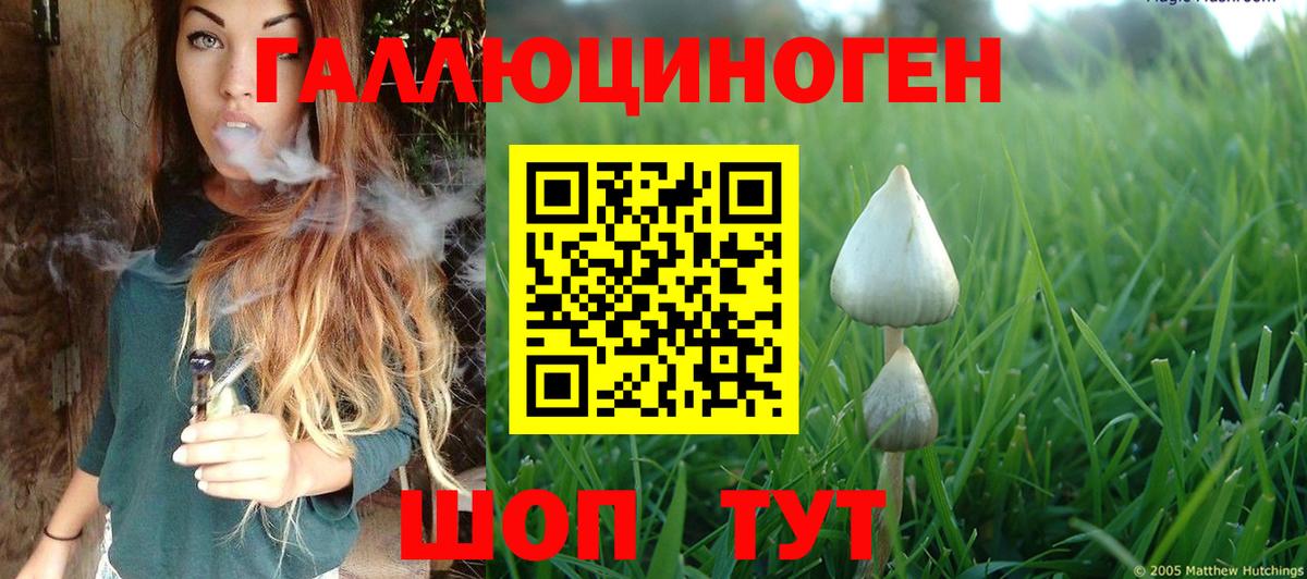 Псилоцибиновые грибы MAGIC MUSHROOMS Нефтекумск