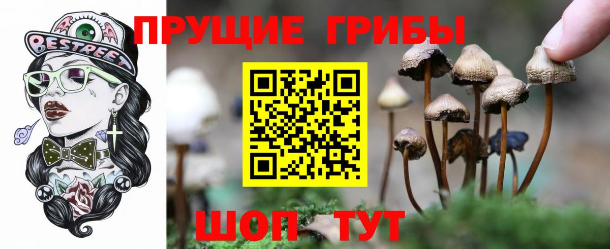 Псилоцибиновые грибы Cubensis  Вход с VPN  Нефтекумск 